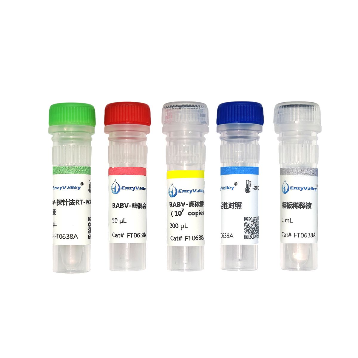 狂犬*病毒通用探针法RT-PCR试剂盒