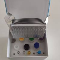 Digestive organ expansion factor homolog, Diexf ELISA KIT/ Mouse Digestive organ expansion factor homolog, Diexf ELISA试剂盒