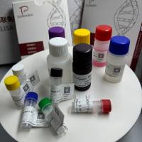 传染性脓疱皮炎病毒探针法荧光定量PCR试剂盒