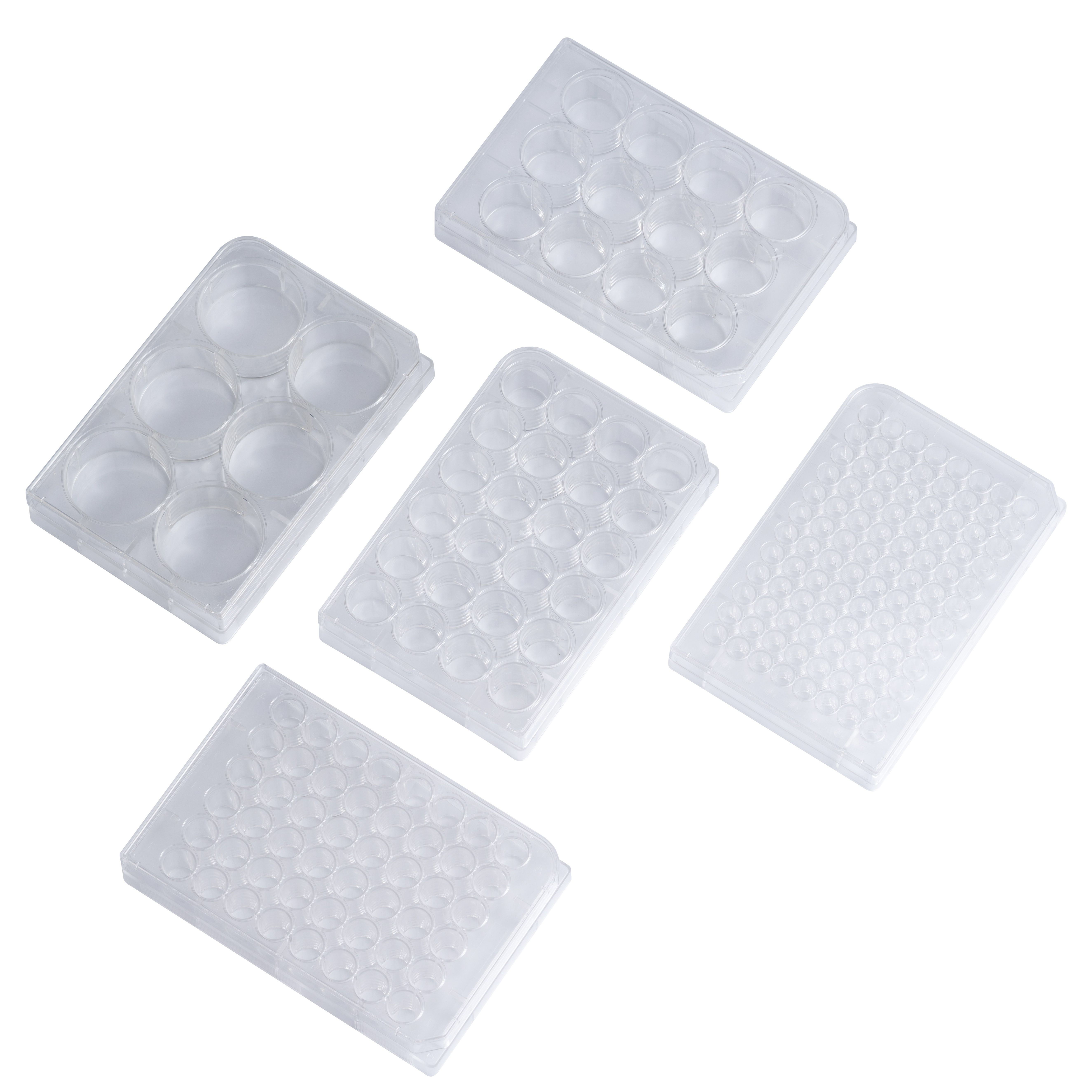 巴罗克-消毒细胞培养板