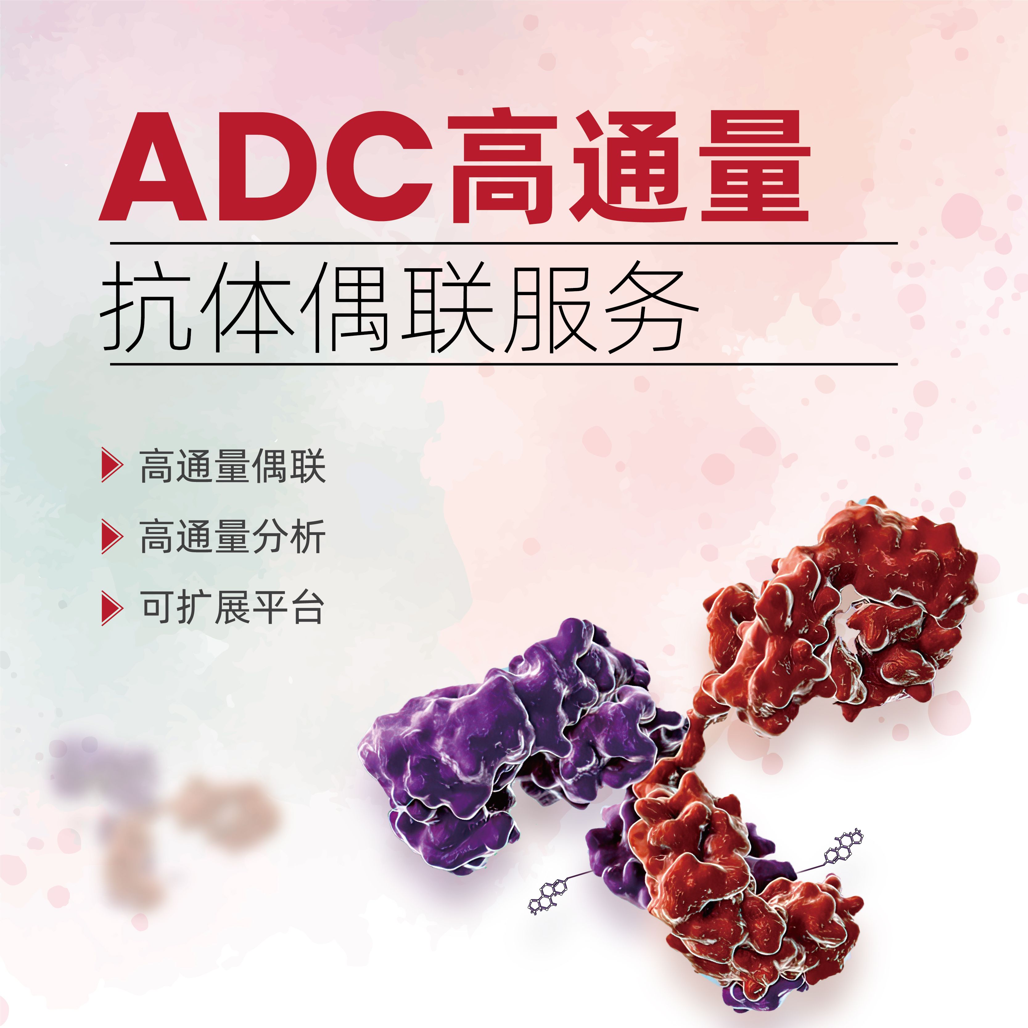 ADC抗体偶联服务
