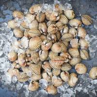 水产品α-酮戊二酸含量测定