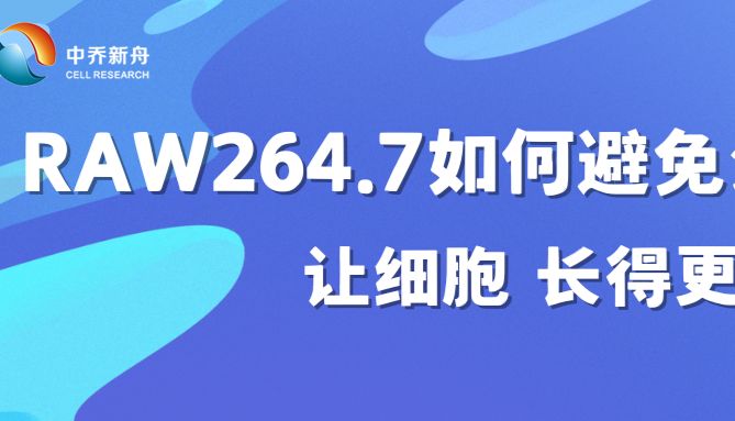 RAW264.7如何避免分化，让细胞“长得更漂亮”？