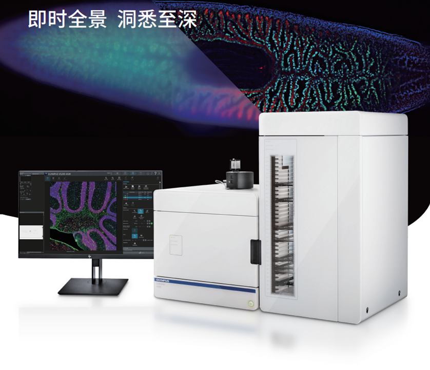 解码肝脏健康,EVIDENT以全链技术矩阵深度赋能临床医学