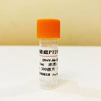 500μg 抗非洲猪瘟P72病毒单克隆抗体；非洲猪瘟P72抗体；非洲猪瘟抗体；猪ASFV抗体