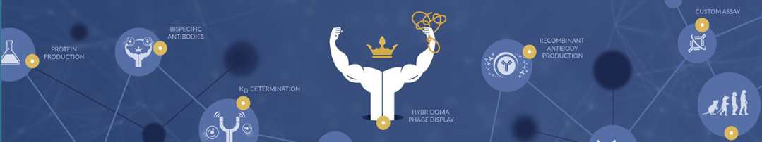 Anti-Clostridium tetani tetX/T