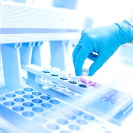 食品甘草酸含量测定