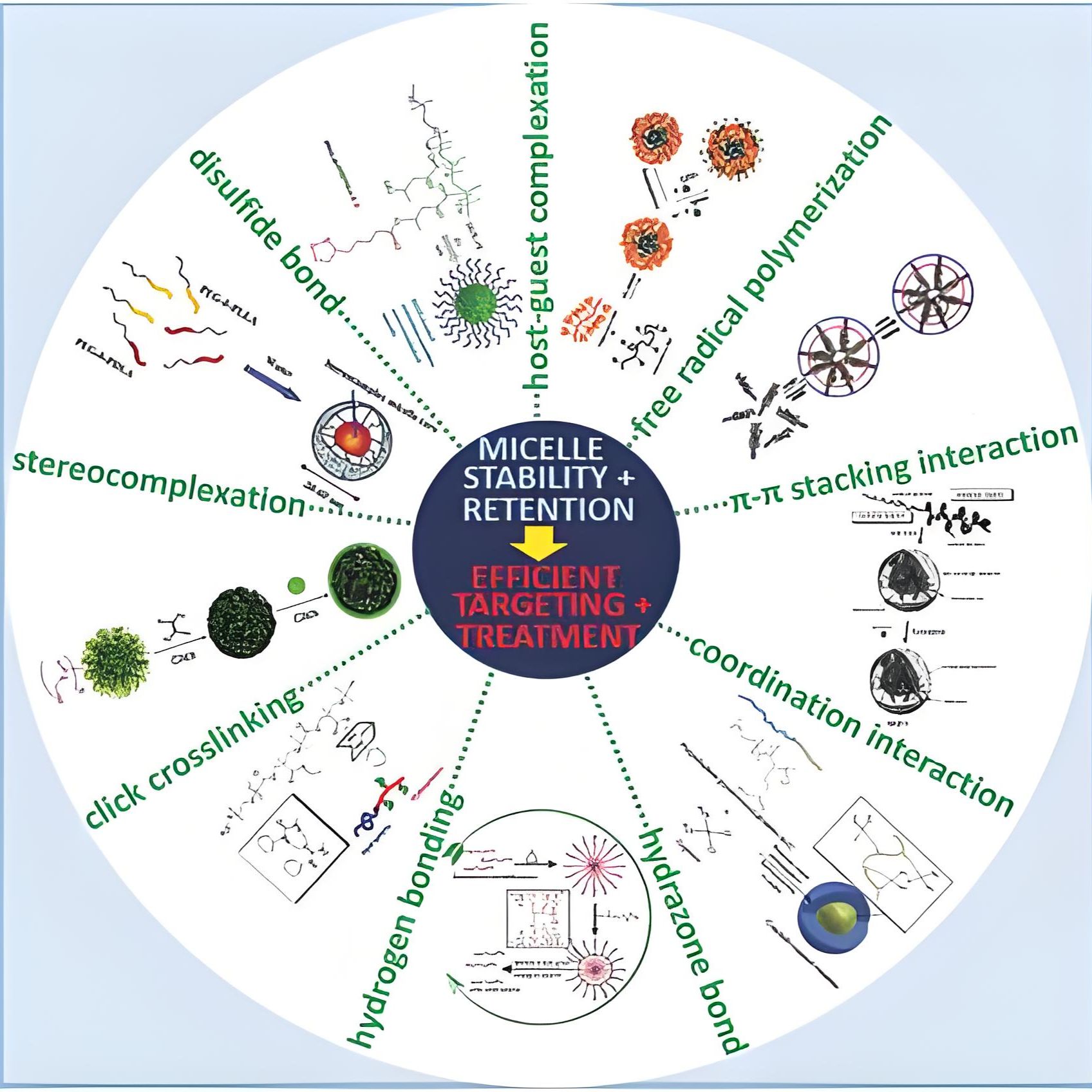 负载吉非替尼和百里醌（β-Lap）的纳米颗粒被转铁蛋白（Tf）修饰