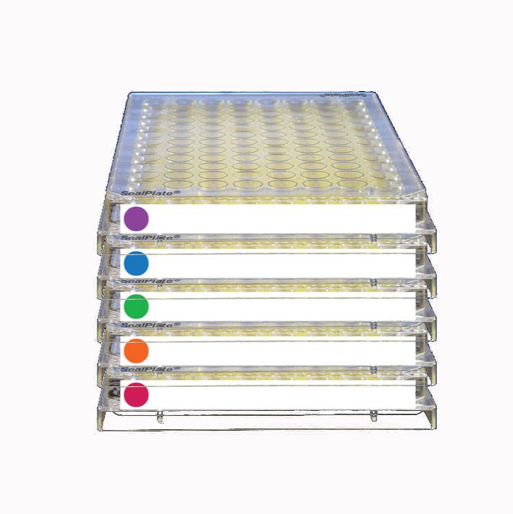 巴罗克-封板膜,用于PCR、实时 /qPCR、ELISA 实验等