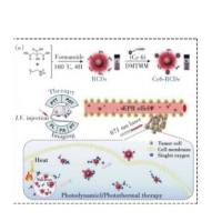 负载光敏剂氯蛋白E6（Ce6）的红色碳量子点（RCD）