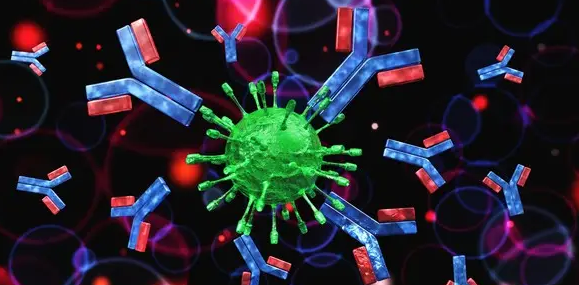 实验室选择抗体（Ab）需确定方面