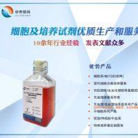 人睾丸间质细胞永生化专用培养基