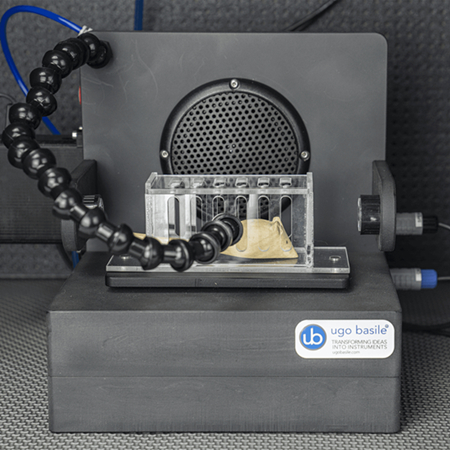 小动物震惊反射系统，大鼠震惊实验仪，小鼠震惊实验仪