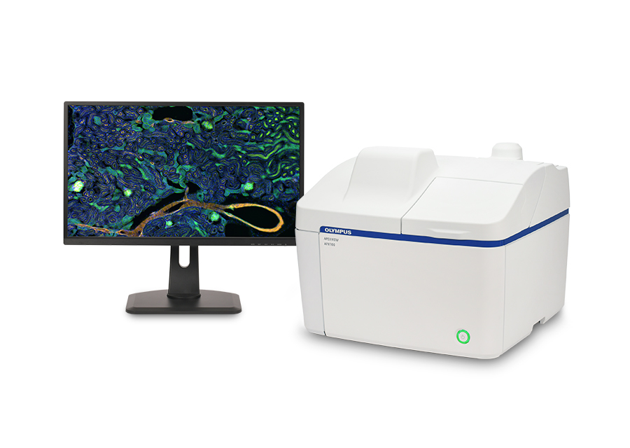 解码肝脏健康,EVIDENT以全链技术矩阵深度赋能临床医学