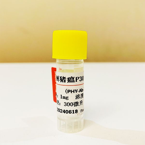 500μg 抗非洲猪瘟病毒（ASFV）单克隆抗体；非洲猪瘟抗体；非洲猪瘟P30抗体；猪ASFV抗体