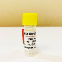 500μg 抗非洲猪瘟病毒（ASFV）单克隆抗体；非洲猪瘟抗体；非洲猪瘟P30抗体；猪ASFV抗体