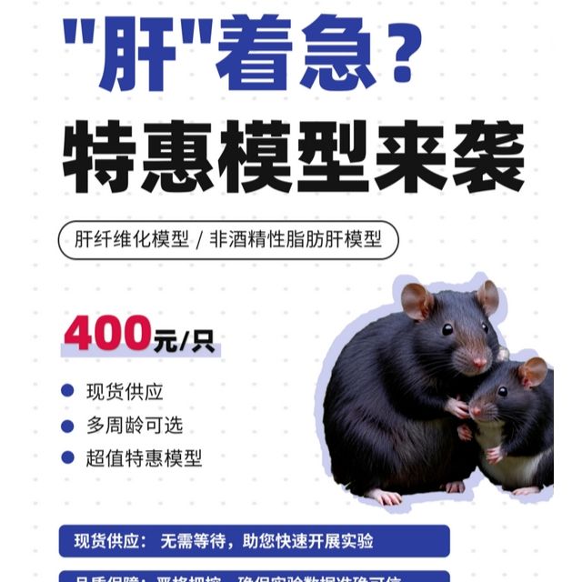 肝纤维化、脂肪肝