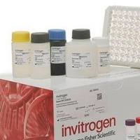 Integrin alpha-M/CD11b/MAC-1 ELISA Kit
