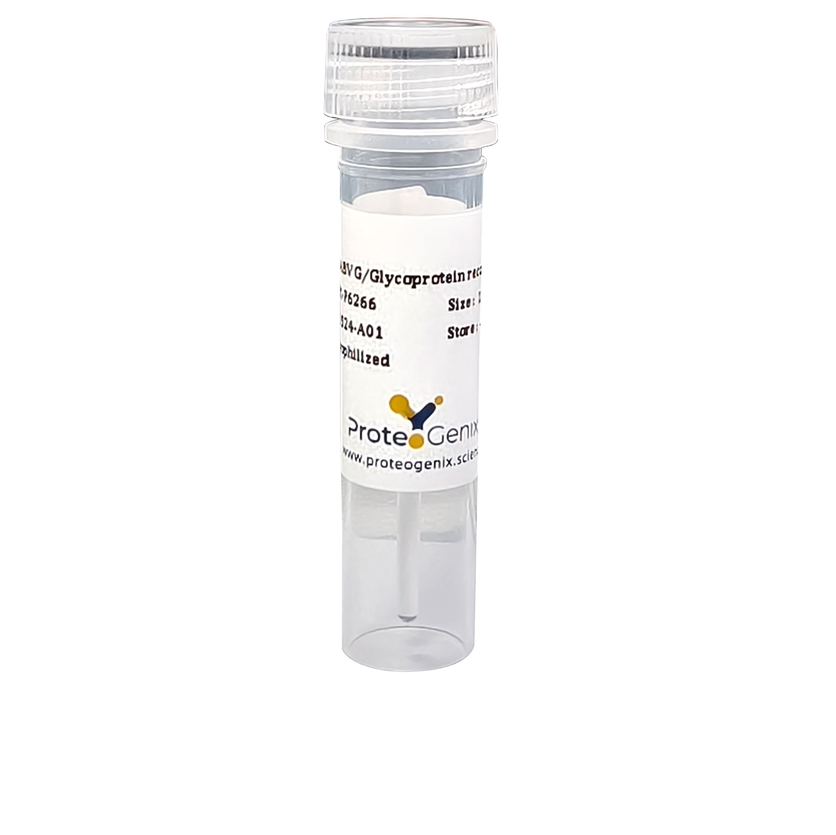Anti-Clostridium tetani tetX/Tetanus toxin Antibody (ABS1881)