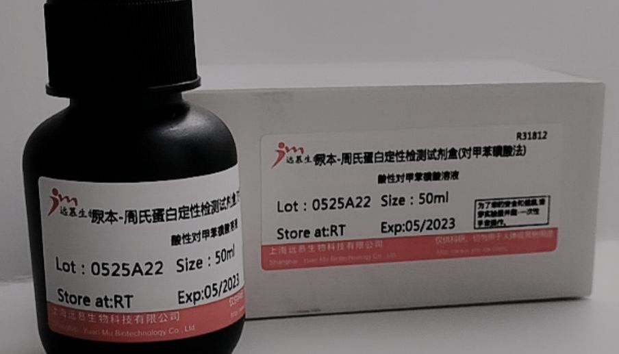 泛素化的定义过程和检测方法