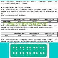 腺病毒IFA免疫荧光检测试剂盒（科研使用）