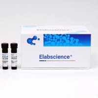 M1型Raw264.7巨噬细胞极化培养和检测试剂盒