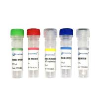 黄曲霉探针法PCR试剂盒