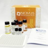 Valukine™ ELISA 试剂盒