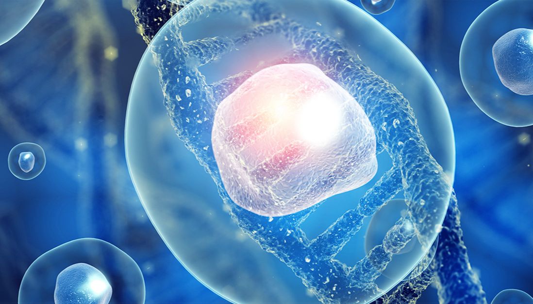 PeproTech 助力 hiPSCore：机器学习驱动的 iPSC 分化新突破