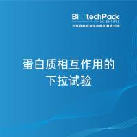 蛋白质相互作用的下拉试验