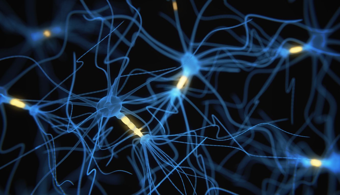 细胞转染优化全攻略：PEI转染试剂的关键参数与转染实践指南