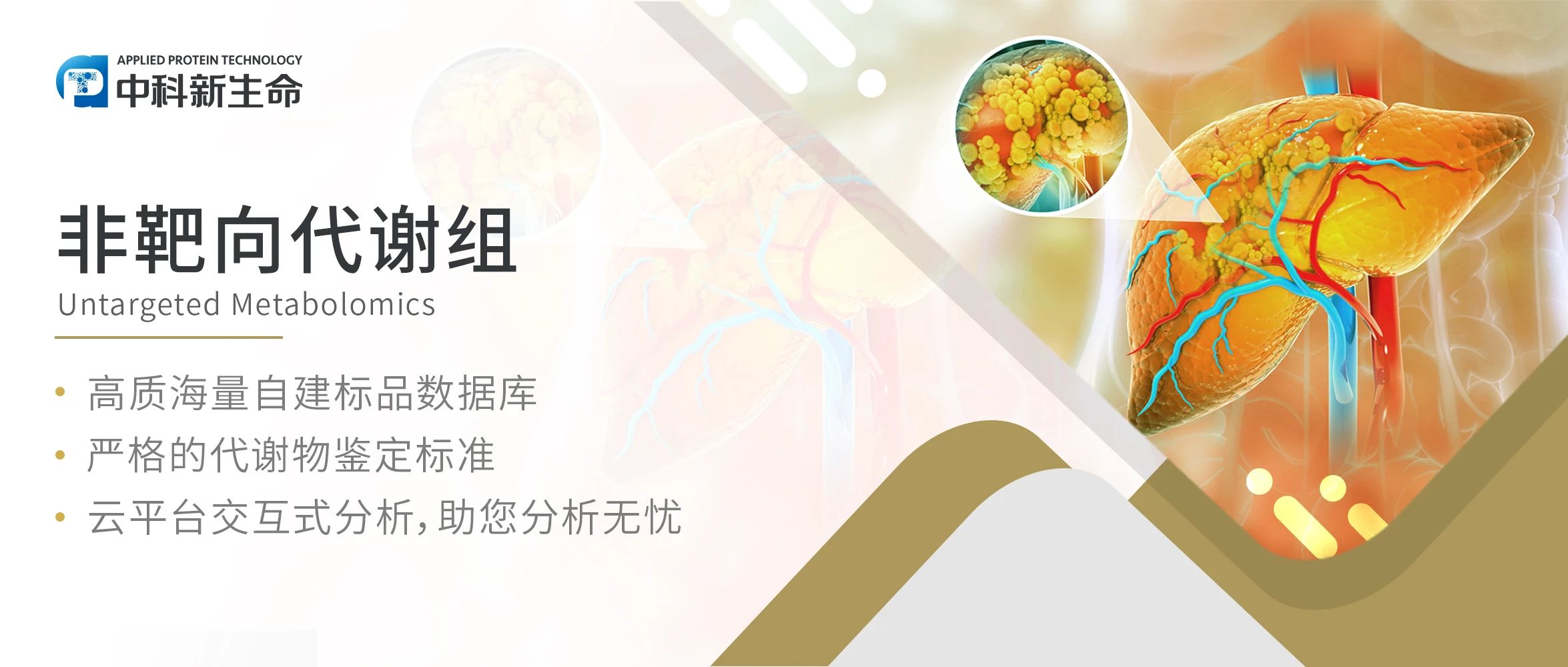 APSB项目文章 | 南方医科大学南方医院等团队发现乙肝患者抵抗肝癌的“隐形盾牌”——长链酰基肉碱