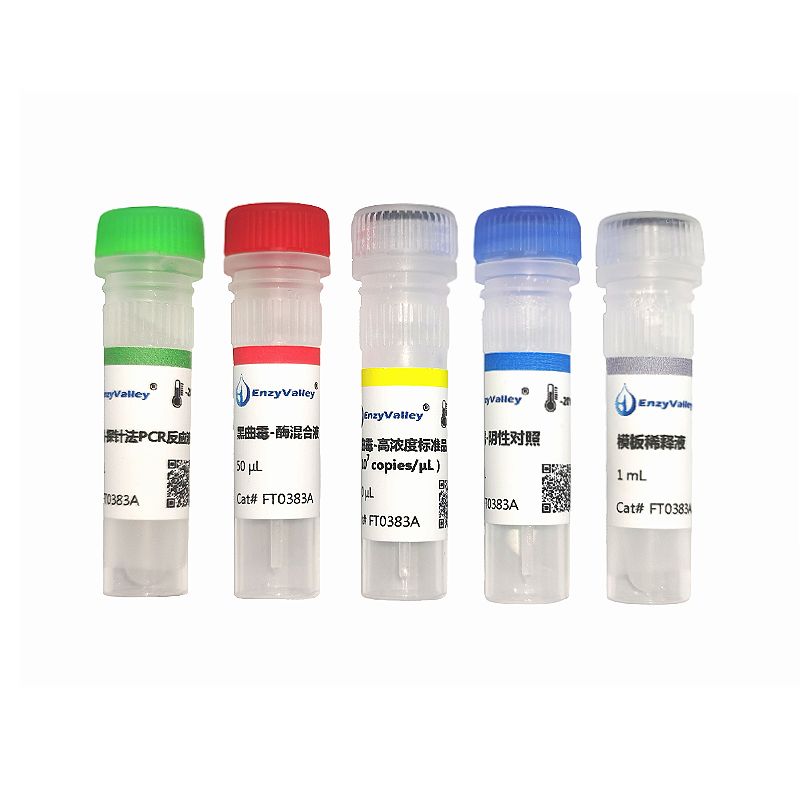 黑曲*探针法PCR试剂盒