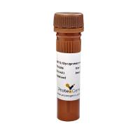 Human IgG1, lambda Isotype Control antibody (HyHEL-10)