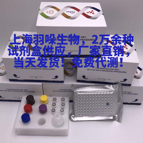 猴XII B组磷脂酶A2(PLA2G12B)酶联免疫ELIS