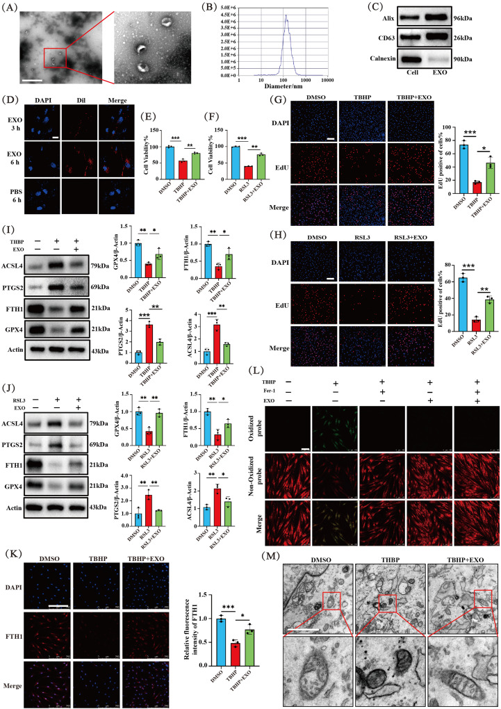 外泌体技术服务