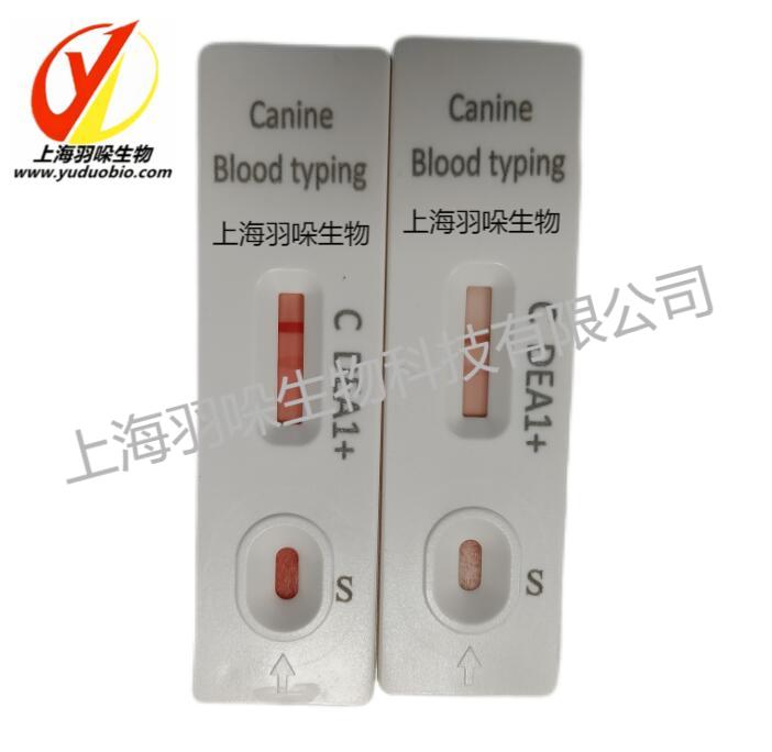 犬/猫血型快速检测试剂盒(全血)检测卡,大板,厂家直销