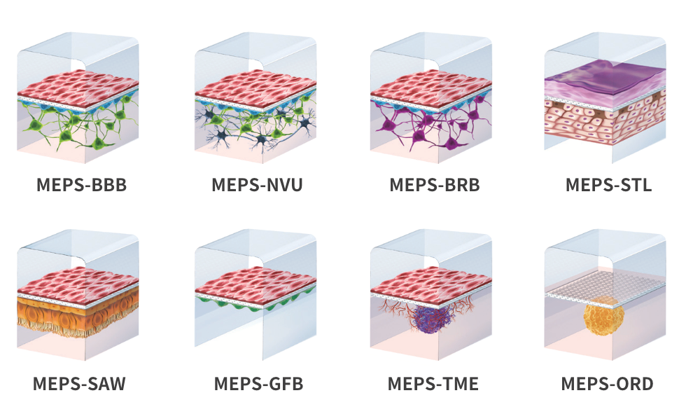 Mepsgen设备自带优化并验证的实验方案protocols