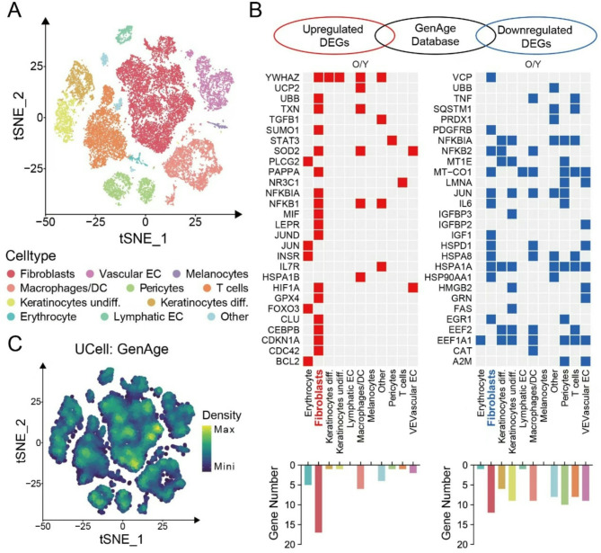 迁移体研究 迁移体研究