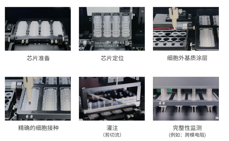 Mepsgen一体化系统