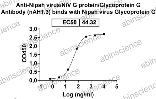 abinscience重组尼帕病毒G蛋白/糖蛋白G蛋白促销不停