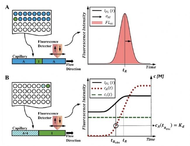 一种革命性的基于FIDA和光谱位移的亲和力定量筛选技术---一分钟单浓度获得亲和力Kd