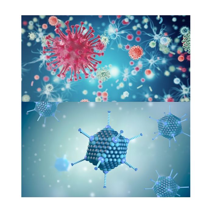 病毒载体/慢病毒包装/AAV包装