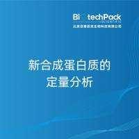 新合成蛋白质的定量分析