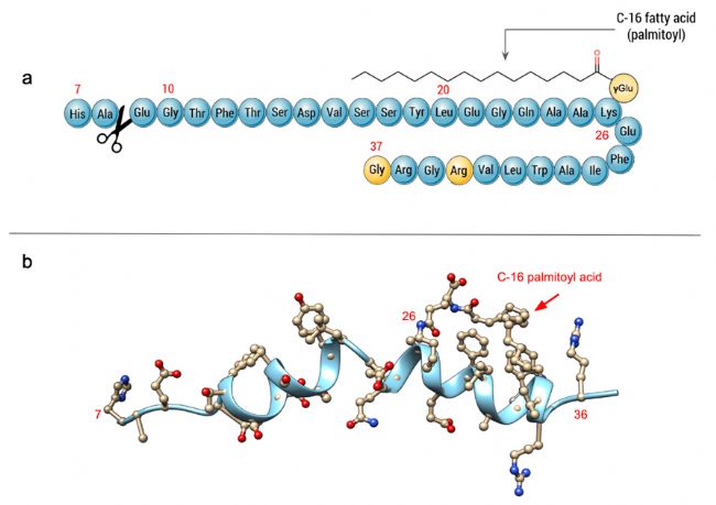 从实验室到规模化生产：多肽合成中 GLP-1 药物纯化的革新方案 —— 基于 PurePep® Easy Clean 技术