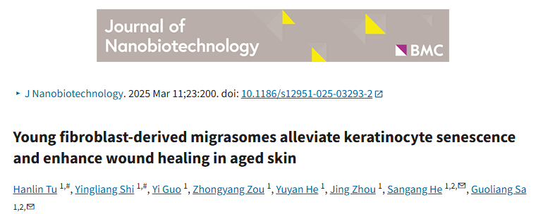 【2025年第3期】迁移体：老年皮肤焕新的“秘密武器”？