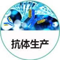 纳米抗体定制服务