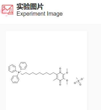 屏幕截图 2025-03-20 165031.png