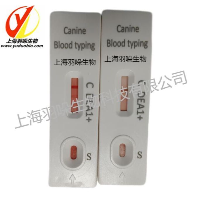 犬/猫血型快速检测试剂盒（全血）检测卡，大板，厂家直销