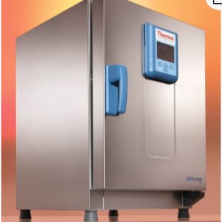 Thermo Scientific Heratherm  OGH60高端安全型烘箱